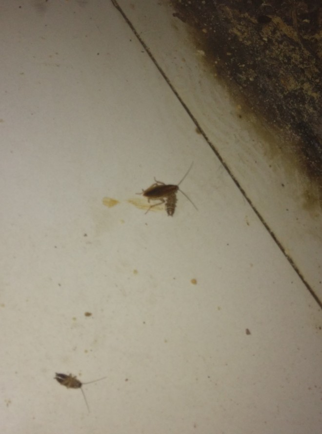 1434254165344696.jpg IMG_20150528_223652.jpg