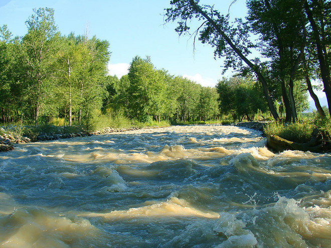 2008716174548321_2.jpg