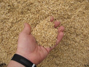 rice husks