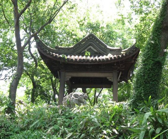 25700770_4.jpg