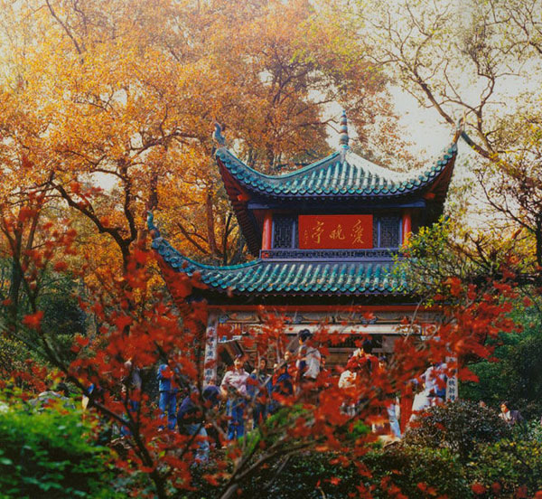 25700770_9.jpg