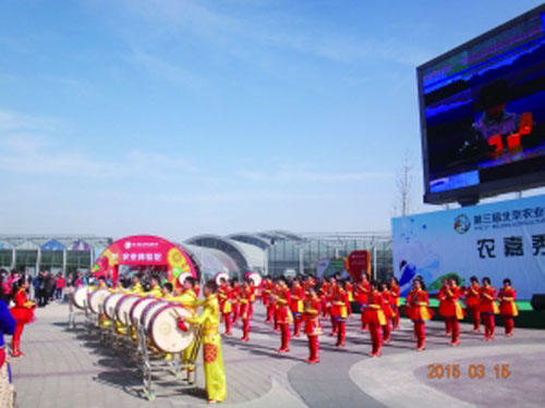 805099n.jpg