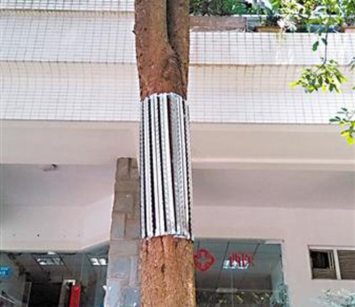 121994699.jpg